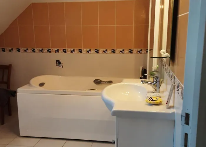 Catydany * Saint-Georges-du-Bois (Sarthe)